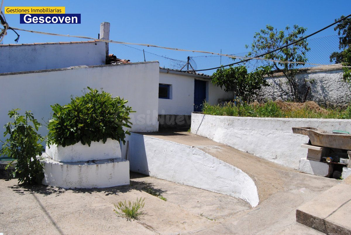 ECONÓMICA CASA PLANTA BAJA CON TERRENO - foto 5