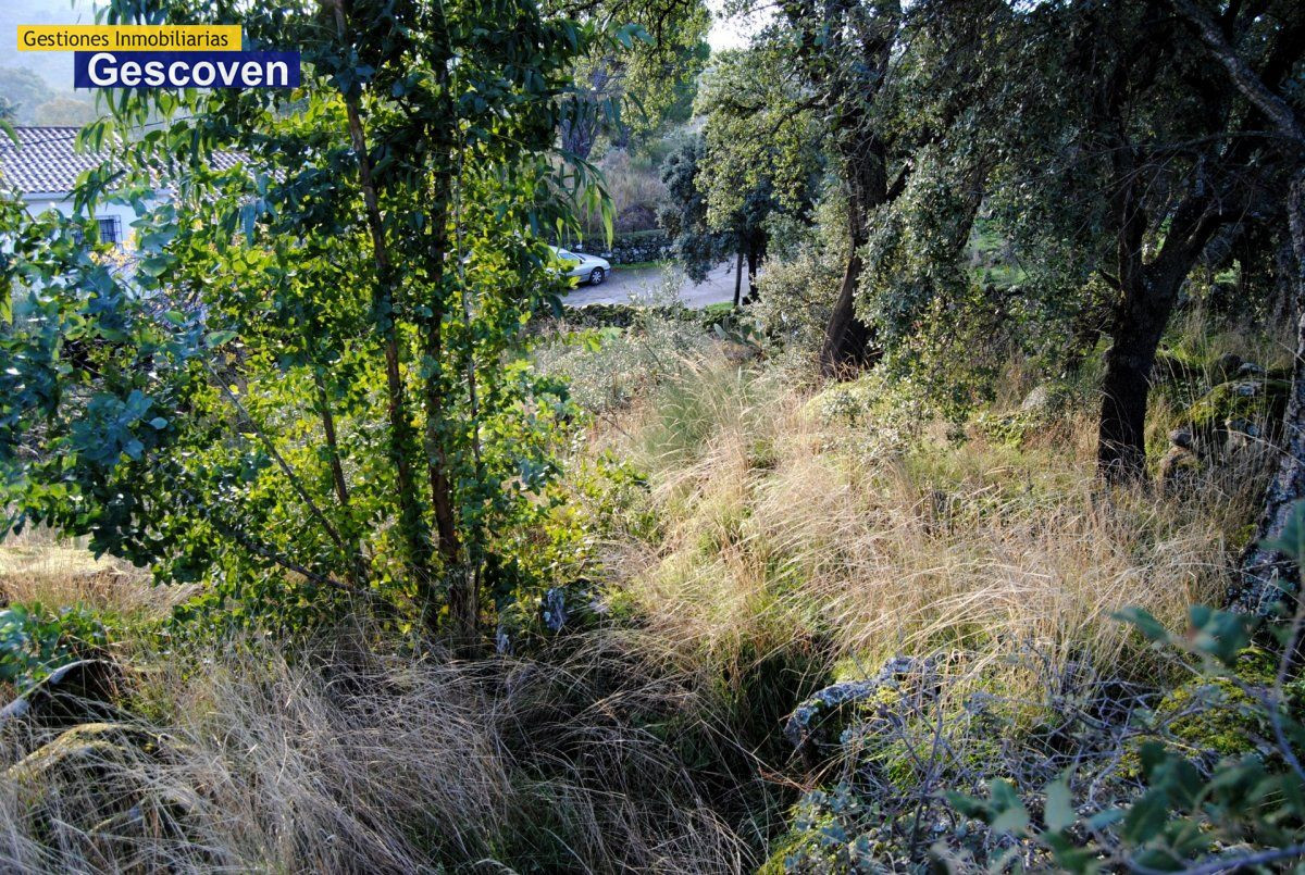 VENTA PARCELA - foto 3