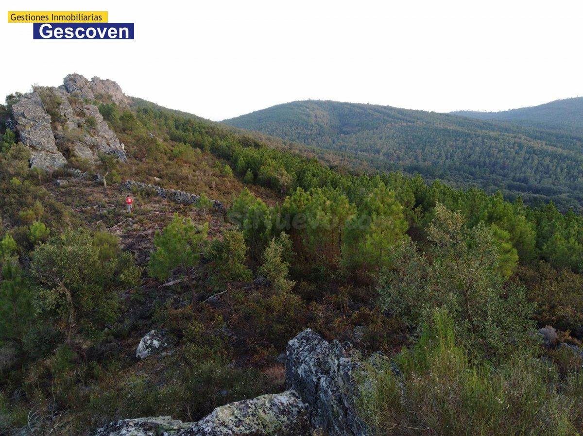 FINCA PAISAJISTICA DE MONTAÑA - foto 3