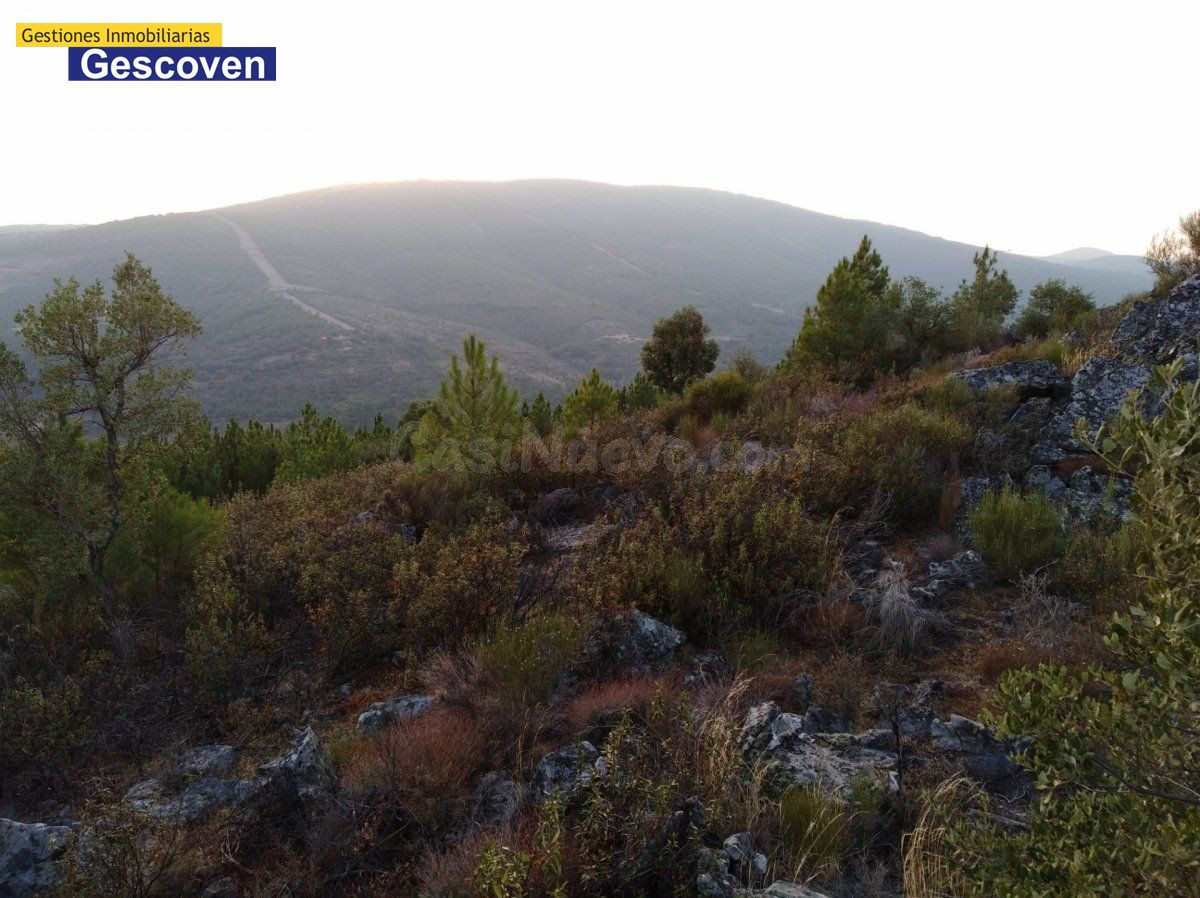 FINCA PAISAJISTICA DE MONTAÑA - foto 4