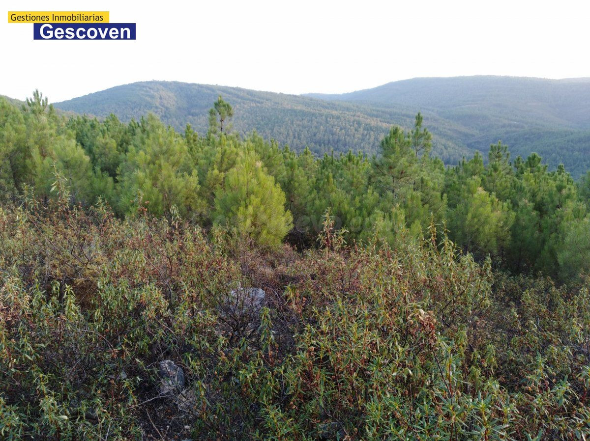 FINCA PAISAJISTICA DE MONTAÑA - foto 5