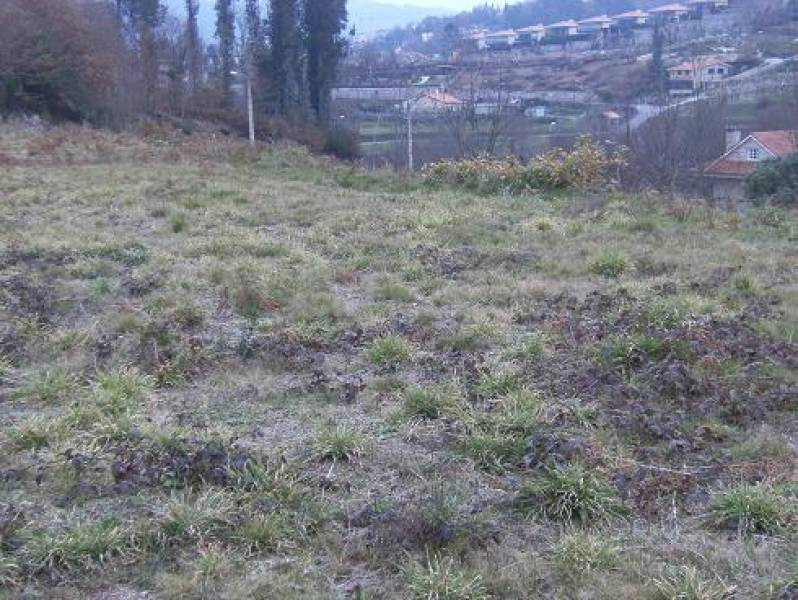 REF 1068 SOLAR 1600 m2 MONDARIZ-BALNEARIO - foto 2