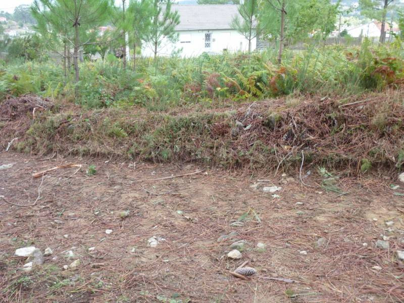REF 1283 TERRENO RUSTICO 1050 m2 ZAMANS VIGO - foto 2