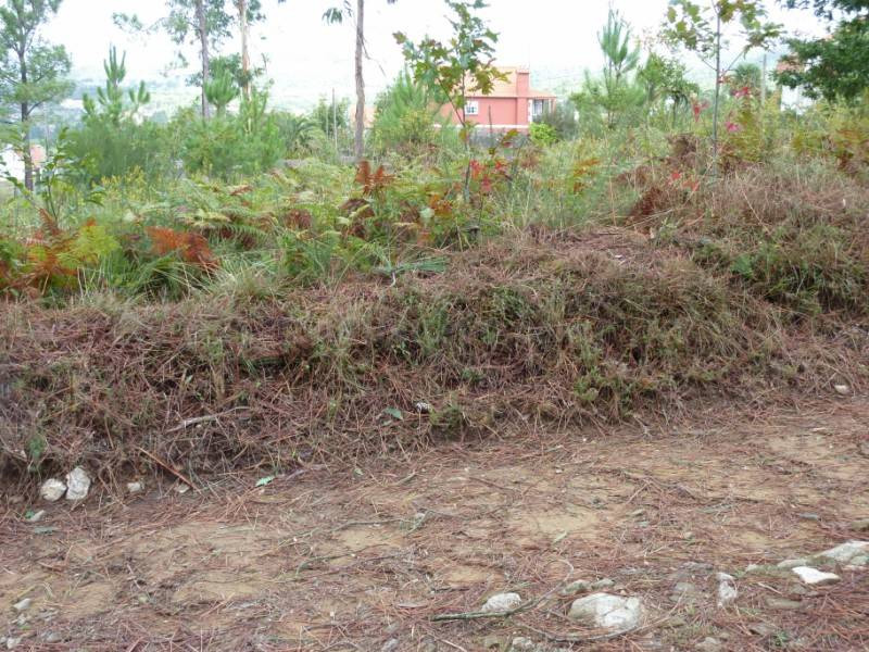 REF 1283 TERRENO RUSTICO 1050 m2 ZAMANS VIGO - foto 3