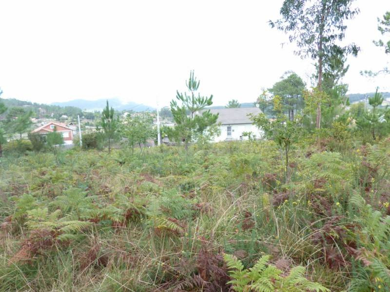 REF 1283 TERRENO RUSTICO 1050 m2 ZAMANS VIGO - foto 4