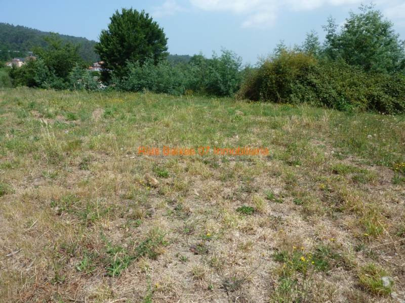 REF 1585 SOLAR DE 621m2 MOS - foto 3