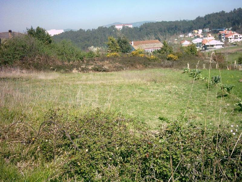 REF 0203 SOLAR 2650 m2 AMPLIA FACHADA BEMBRIVE (VIGO)