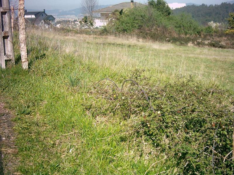 REF 0203 SOLAR 2650 m2 AMPLIA FACHADA BEMBRIVE (VIGO) - foto 2