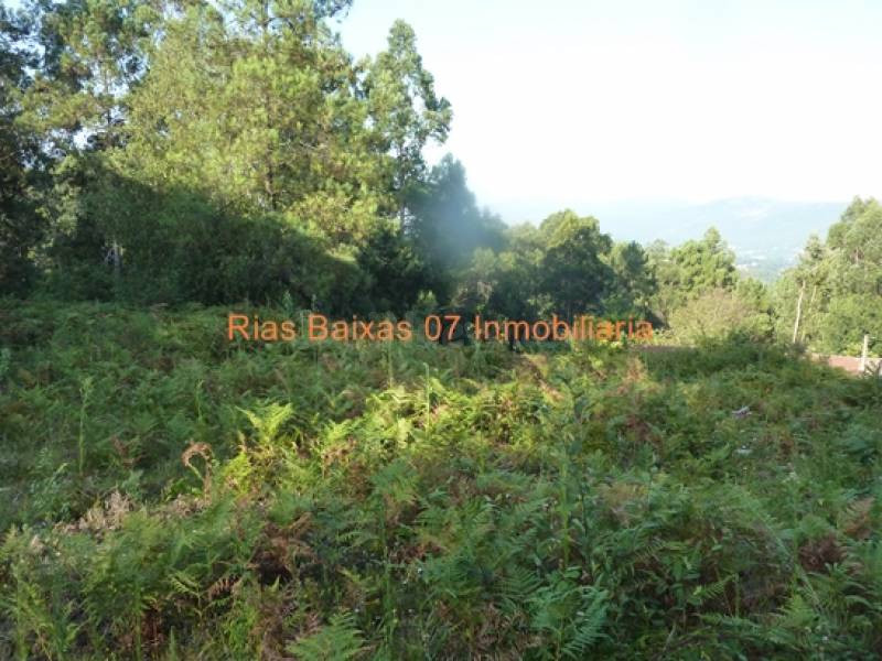 REF 2091 TERRENO EN MOS 1900 m2 EDIFICABLE PRÓXIMO PLAN - foto 5