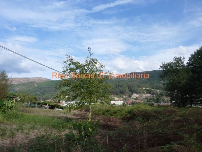 REF 2103 SOLAR EDIFICABLE 1374 m2 (MOS)