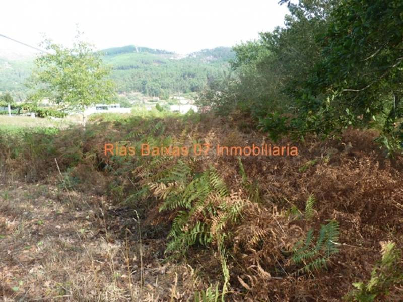 REF 2103 SOLAR EDIFICABLE 1374 m2 (MOS) - foto 2