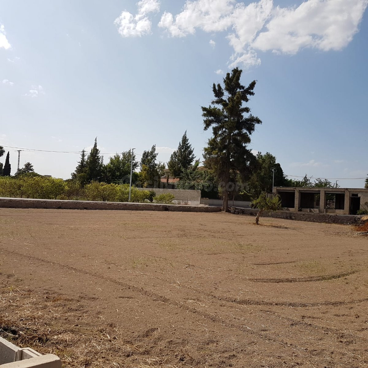 Amplia parcela de 3600 m2, de huerta urbana en Los Dolores c - foto 2