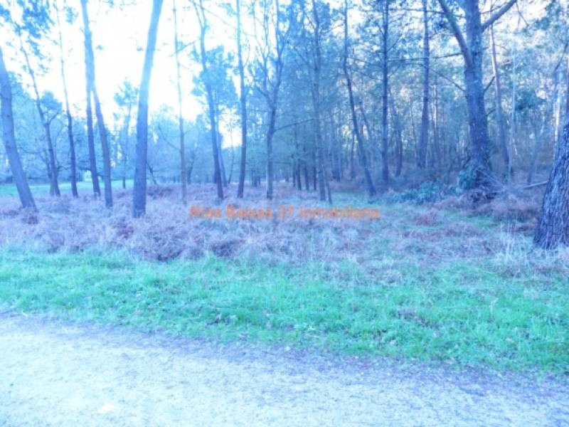 REF 2302 TERRENO RUSTICO 3100 m2 ALTO SAN COSME (MOS)