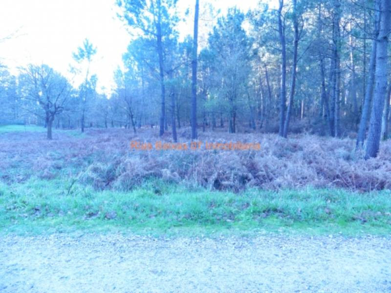 REF 2302 TERRENO RUSTICO 3100 m2 ALTO SAN COSME (MOS) - foto 2