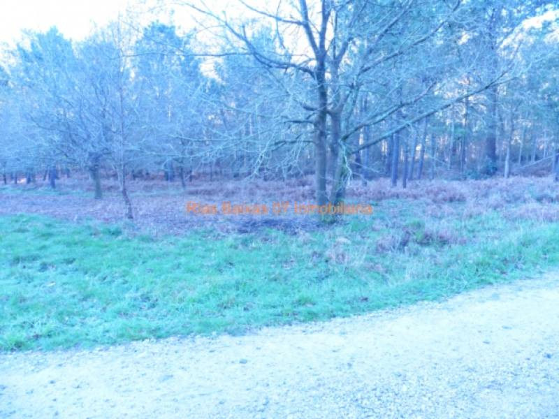 REF 2302 TERRENO RUSTICO 3100 m2 ALTO SAN COSME (MOS) - foto 3