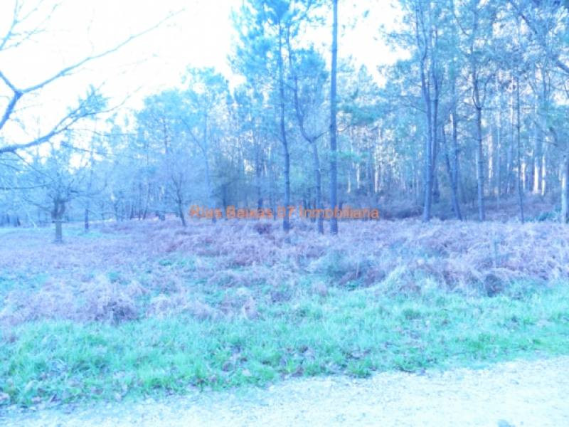 REF 2302 TERRENO RUSTICO 3100 m2 ALTO SAN COSME (MOS) - foto 4