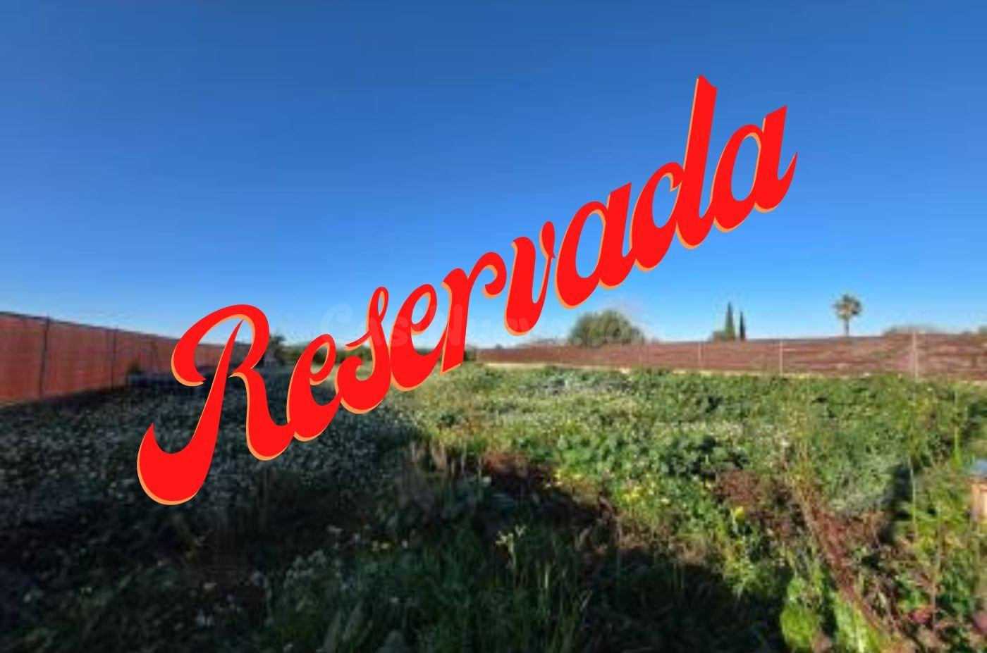 PARCELA VALLADA DE 851 M2, CON CUARTO DE APEROS, EN TORREAGU