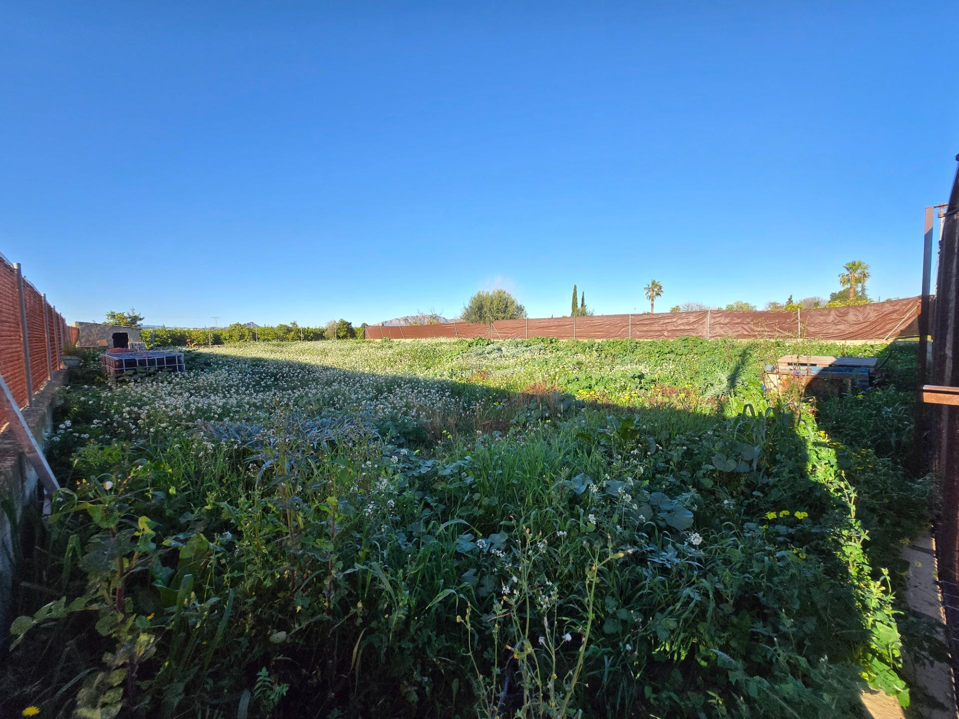 PARCELA VALLADA DE 851 M2, CON CUARTO DE APEROS, EN TORREAGU - foto 4