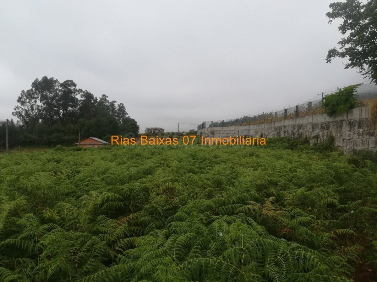 REF 2606 SOLAR DE 1126m2 EDIFICABLE LLANO Y SOLEADO (MOS)