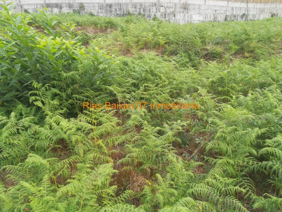 REF 2606 SOLAR DE 1126m2 EDIFICABLE LLANO Y SOLEADO (MOS) - foto 2
