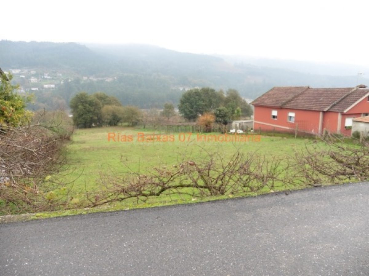 REF 2666 SOLAR PARCELABLE 2531 m2 MOS - foto 2