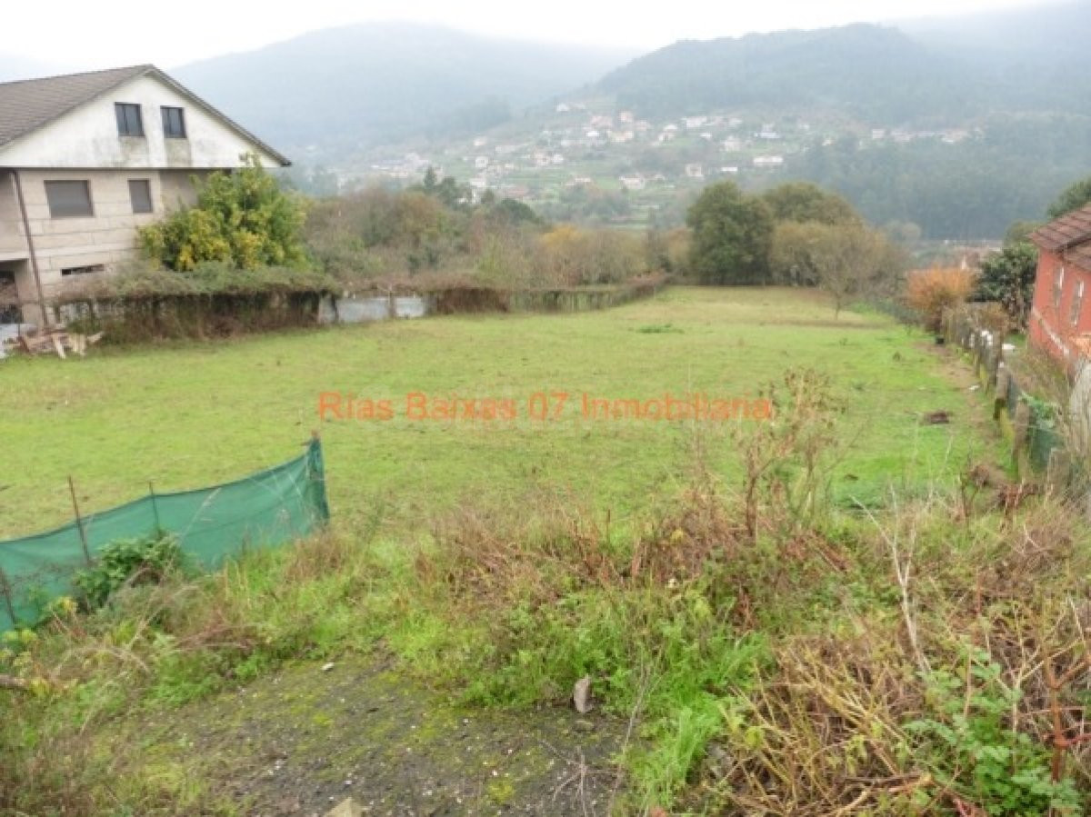 REF 2666 SOLAR PARCELABLE 2531 m2 MOS - foto 3