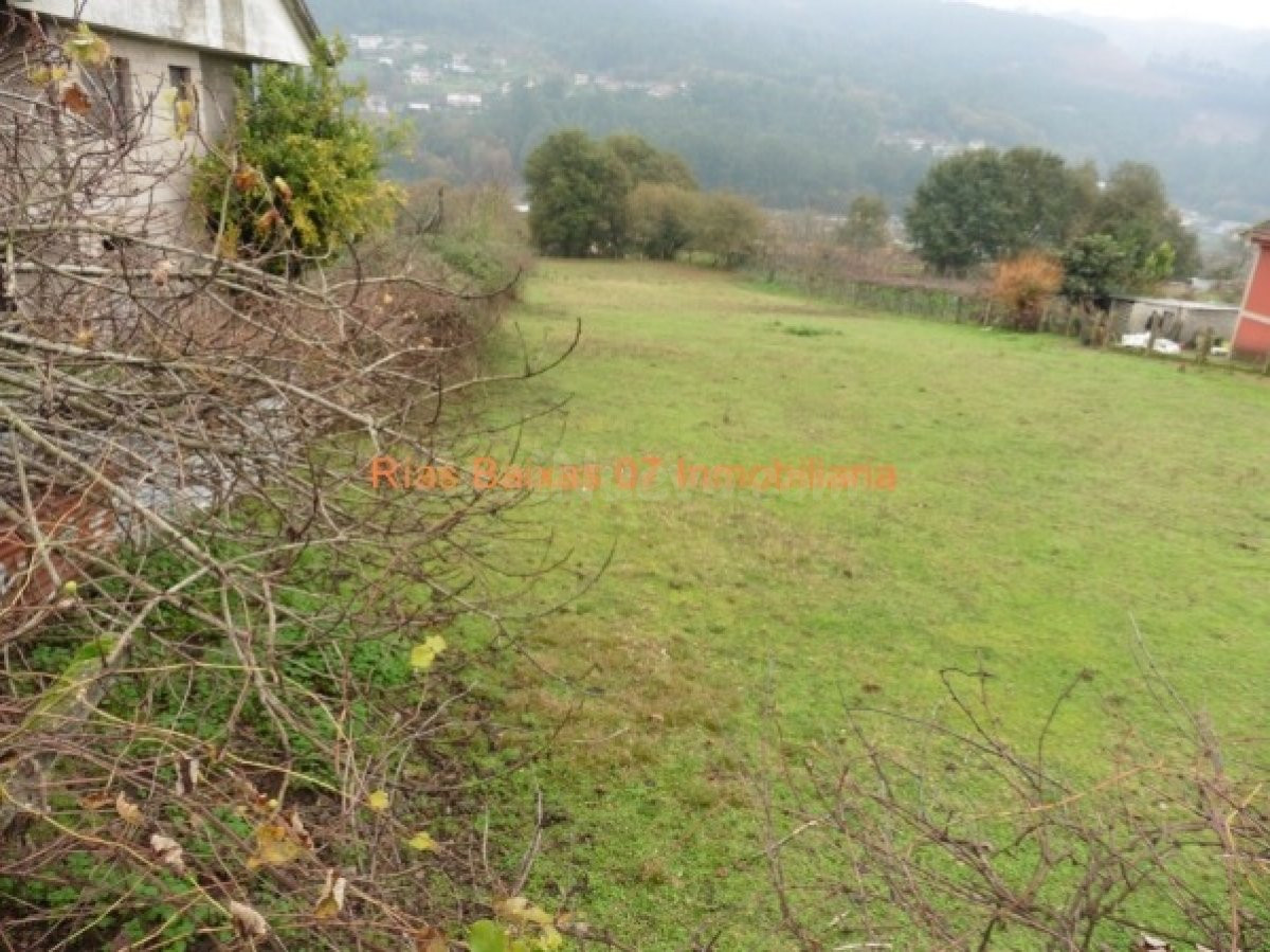 REF 2666 SOLAR PARCELABLE 2531 m2 MOS - foto 4