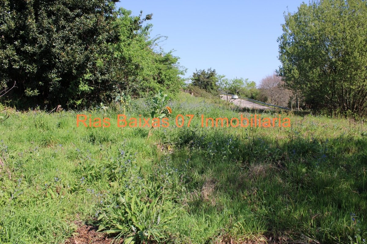 REF 2707 SOLAR DE 1459 m2 EN MOS