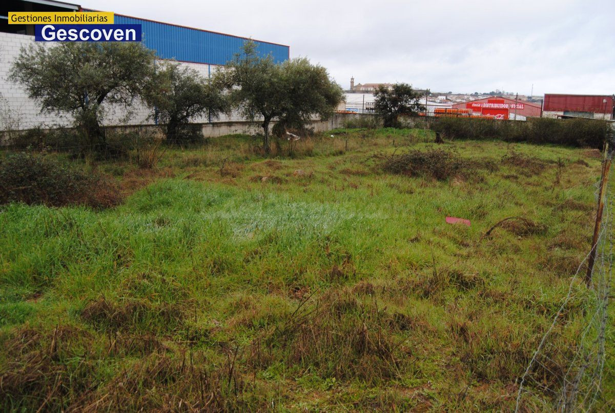 PARCELA INDUSTRIAL - foto 2