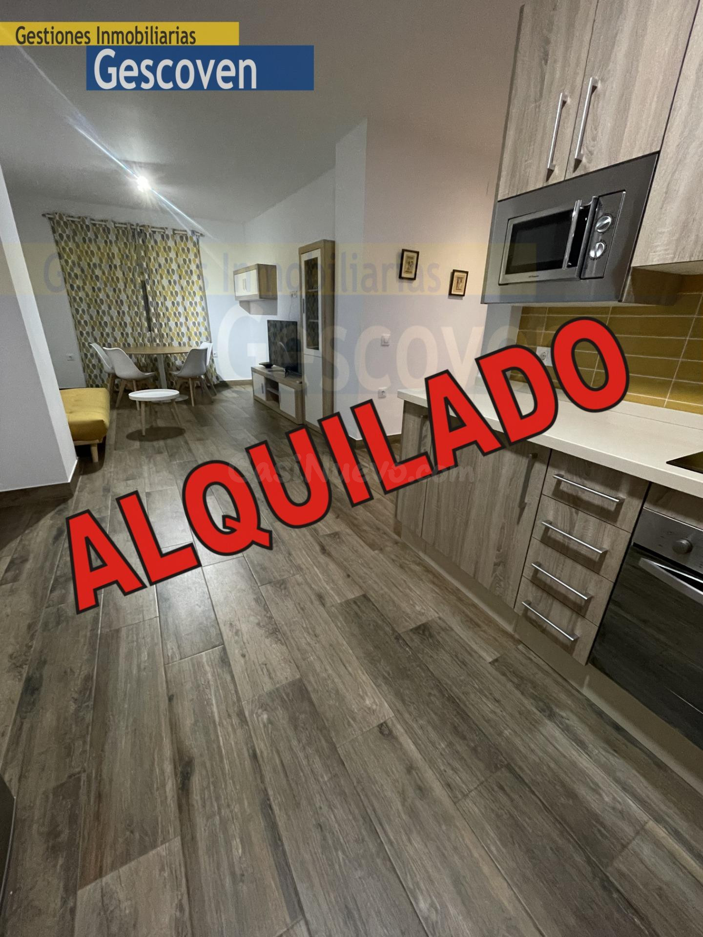 GRAN APARTAMENTO, DOS DORMITORIOS, TERRAZA Y PARKING