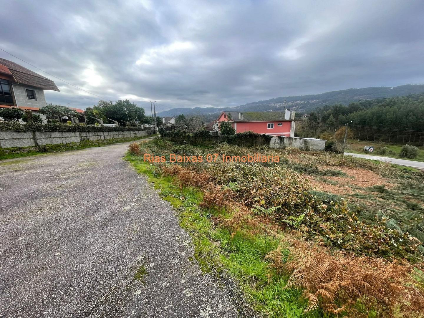 REF 4141 SOLAR EDIFICABLE 1291m2 ZONA SANGUIÑEDA ( MOS ) - foto 5