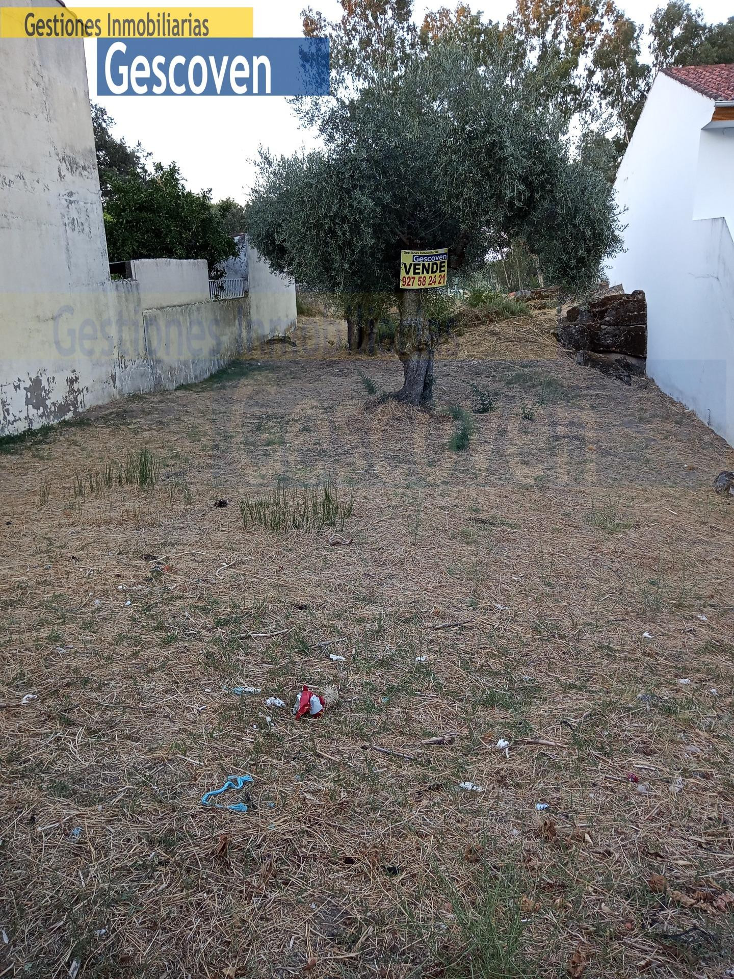 PARCELA TERRENO URBANO PARA CONSTRUIR - foto 3