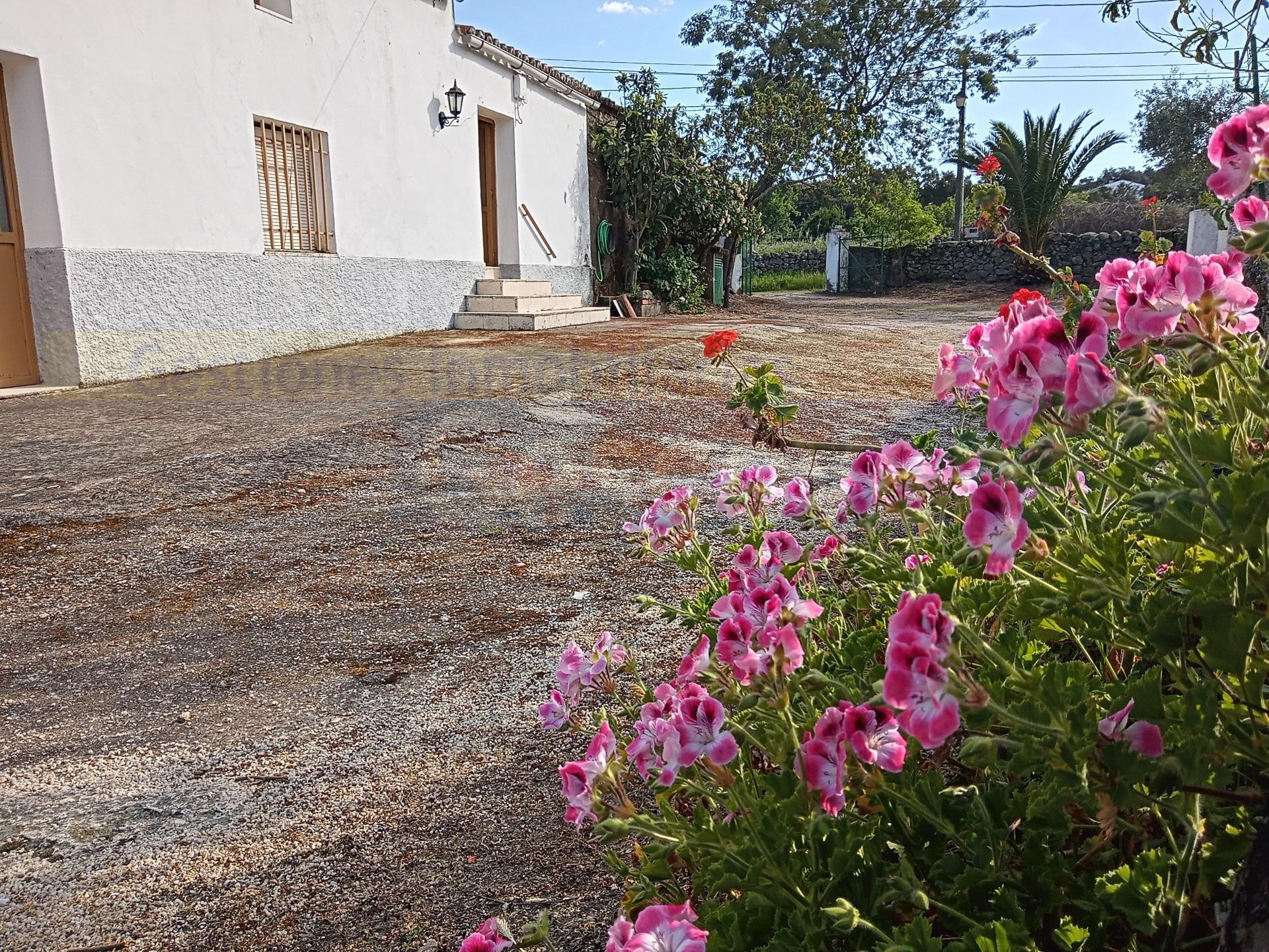 FINCA CASA RÚSTICA, VIVIENDA CON ZONA EXTERIOR APARCAMIENTO,