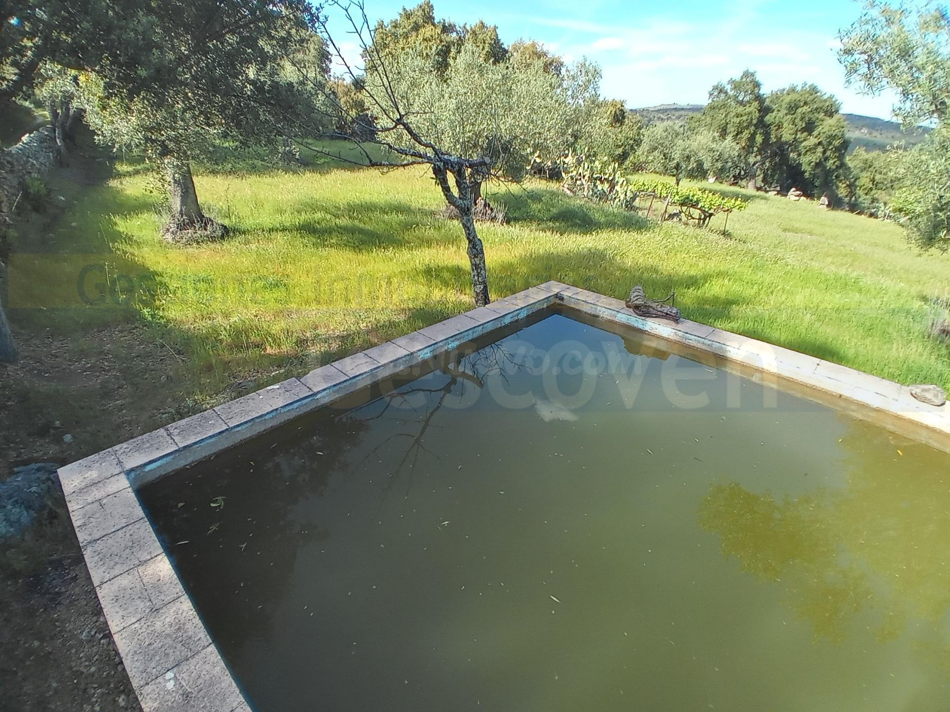 FINCA CASA RÚSTICA, VIVIENDA CON ZONA EXTERIOR APARCAMIENTO, - foto 5