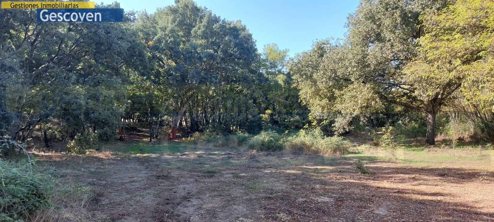 MARAVILLOSA FINCA CON POSIBILIDAD DE EDIFICAR