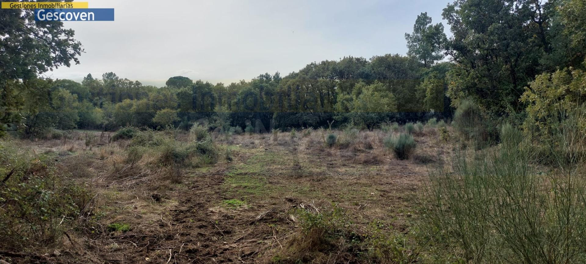 MARAVILLOSA FINCA CON POSIBILIDAD DE EDIFICAR - foto 2