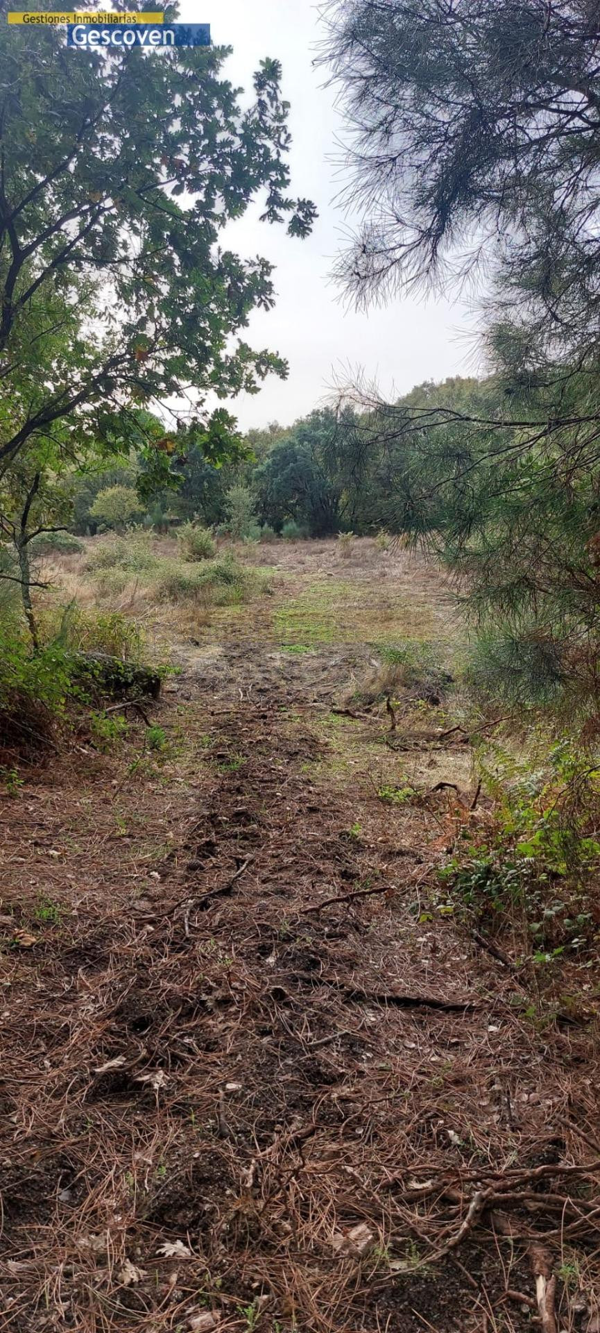 MARAVILLOSA FINCA CON POSIBILIDAD DE EDIFICAR - foto 3