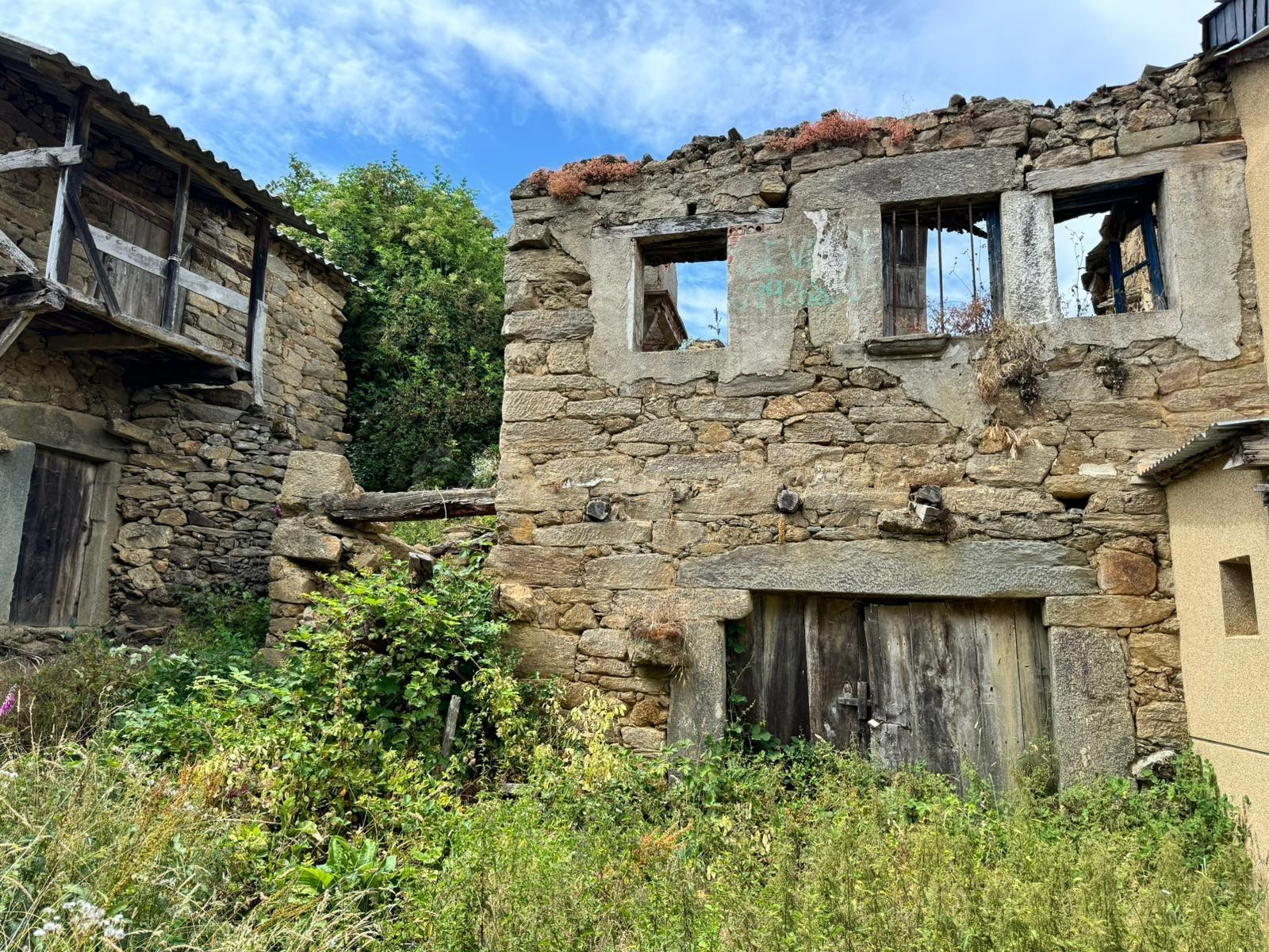 PARCELA EN VENTA EN TREFACIO, ZAMORA. - foto 4