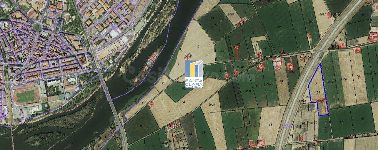 FINCA DE REGADÍO EN VENTA EN ZAMORA