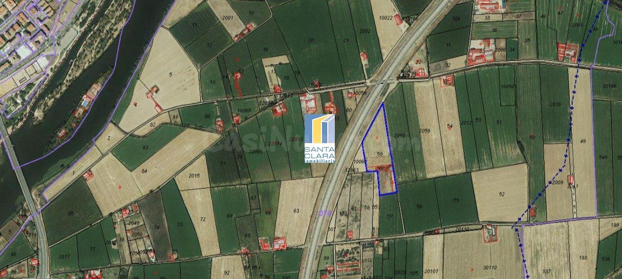 FINCA DE REGADÍO EN VENTA EN ZAMORA - foto 2