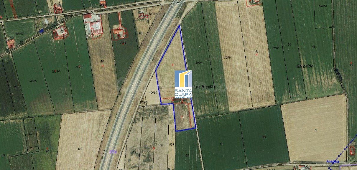 FINCA DE REGADÍO EN VENTA EN ZAMORA - foto 3