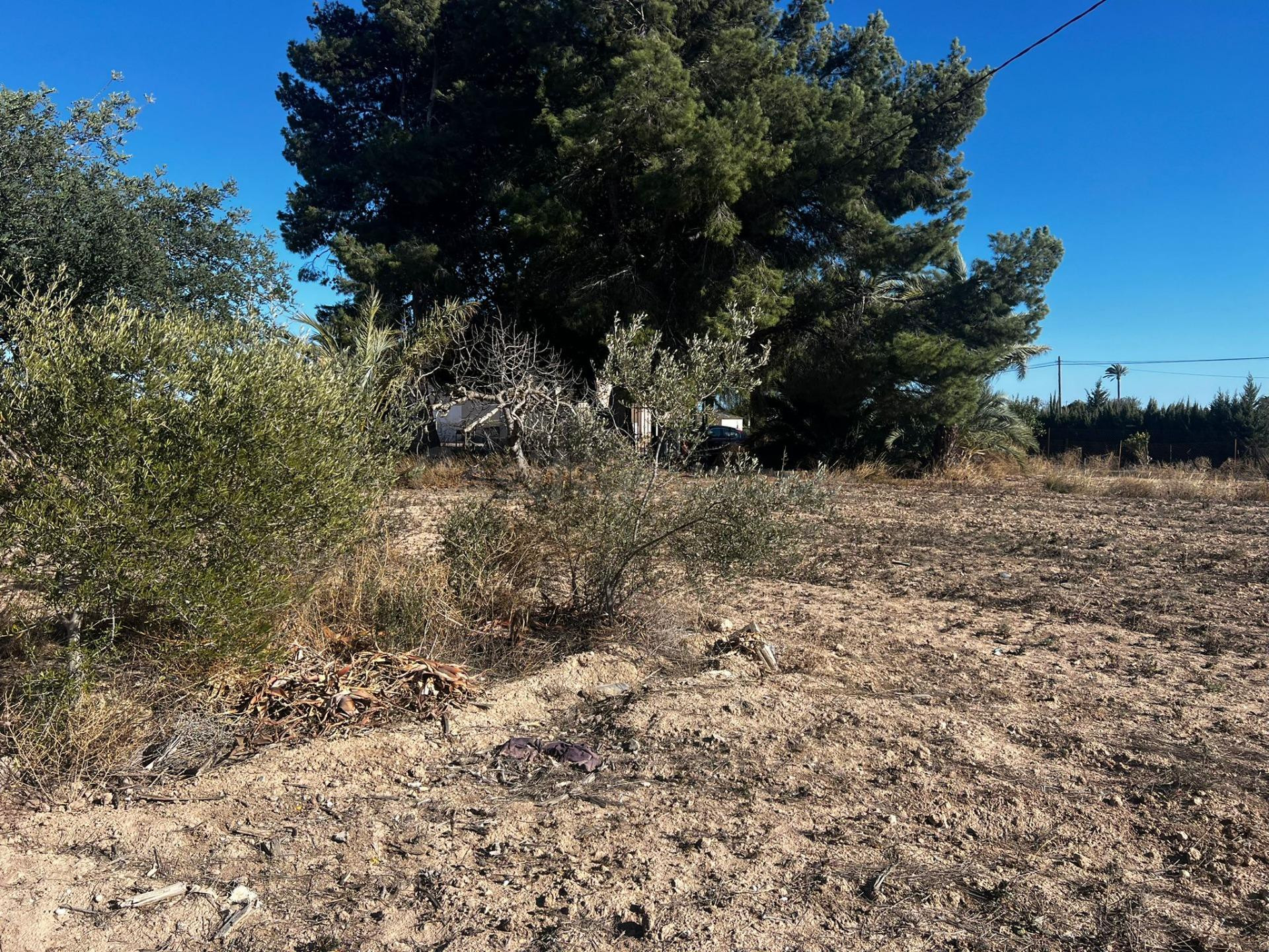 OPORTUNIDAD TERRENO CON CASA PARA REFORMAR - foto 4