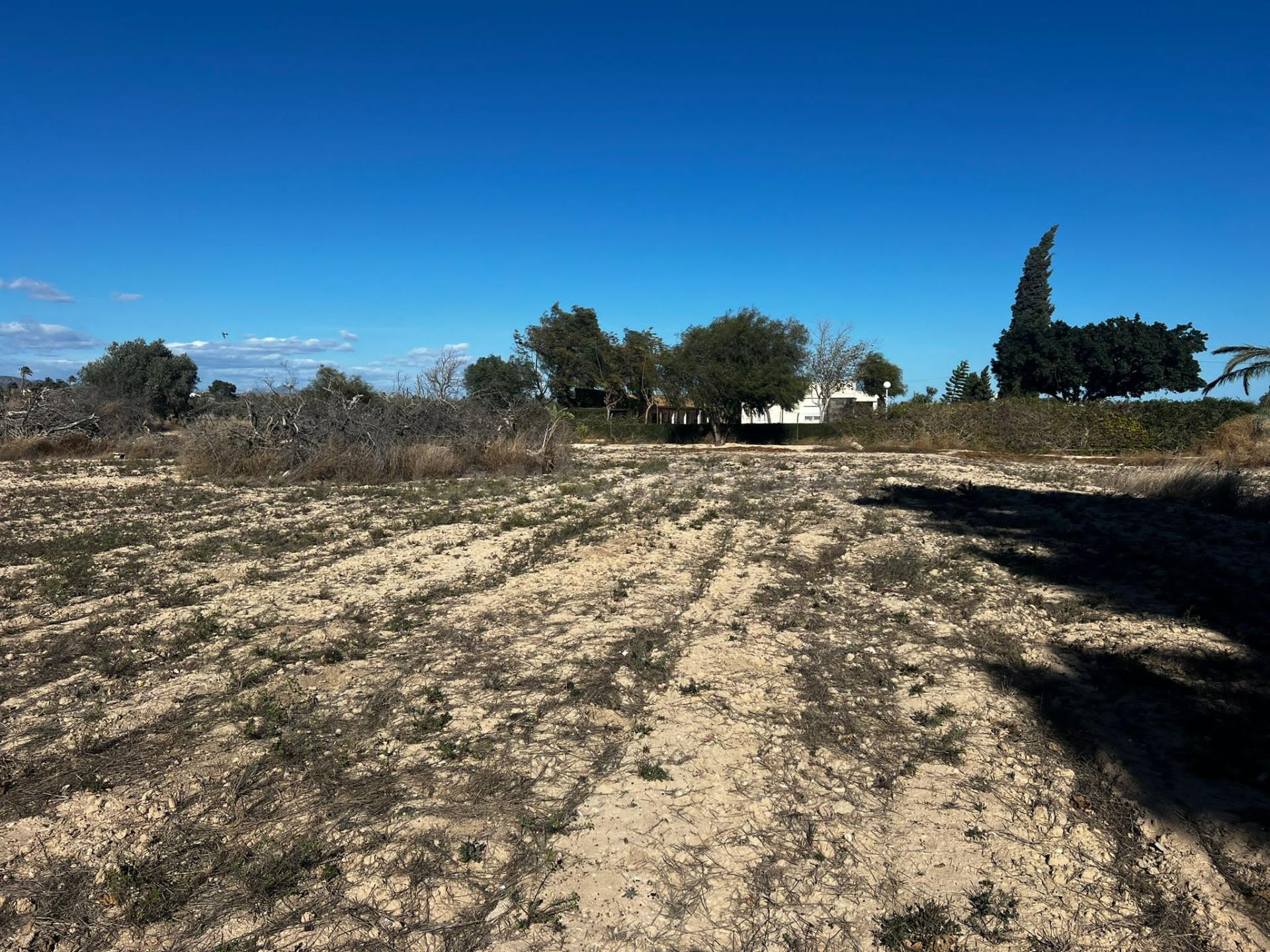 OPORTUNIDAD TERRENO CON CASA PARA REFORMAR - foto 5