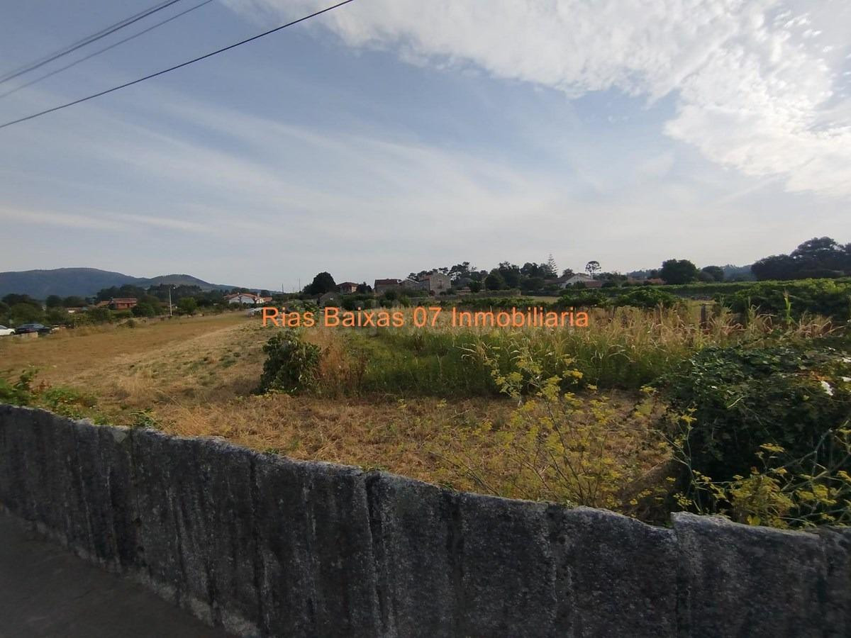 REF 7064  SOLAR LLANO EDIFICABLE DE 1.158 m2 EN ESTAS (TOMIÑ