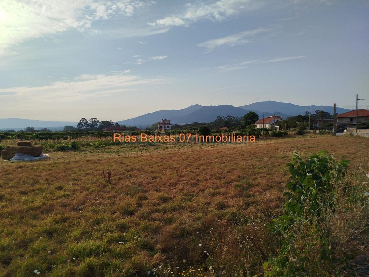REF 7065  SOLAR LLANO EDIFICABLE DE 1.334 m2 EN ESTAS (TOMIÑ