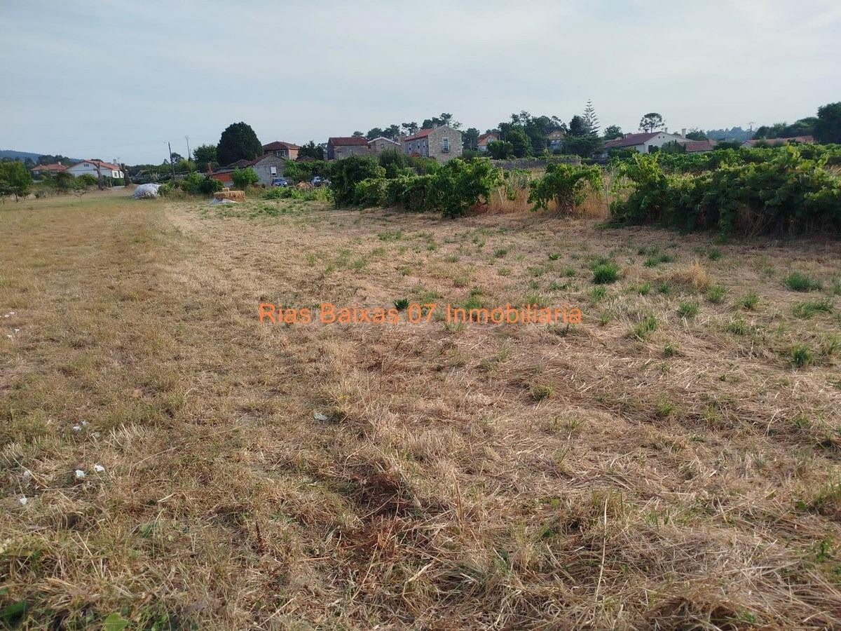 REF 7065  SOLAR LLANO EDIFICABLE DE 1.334 m2 EN ESTAS (TOMIÑ - foto 2