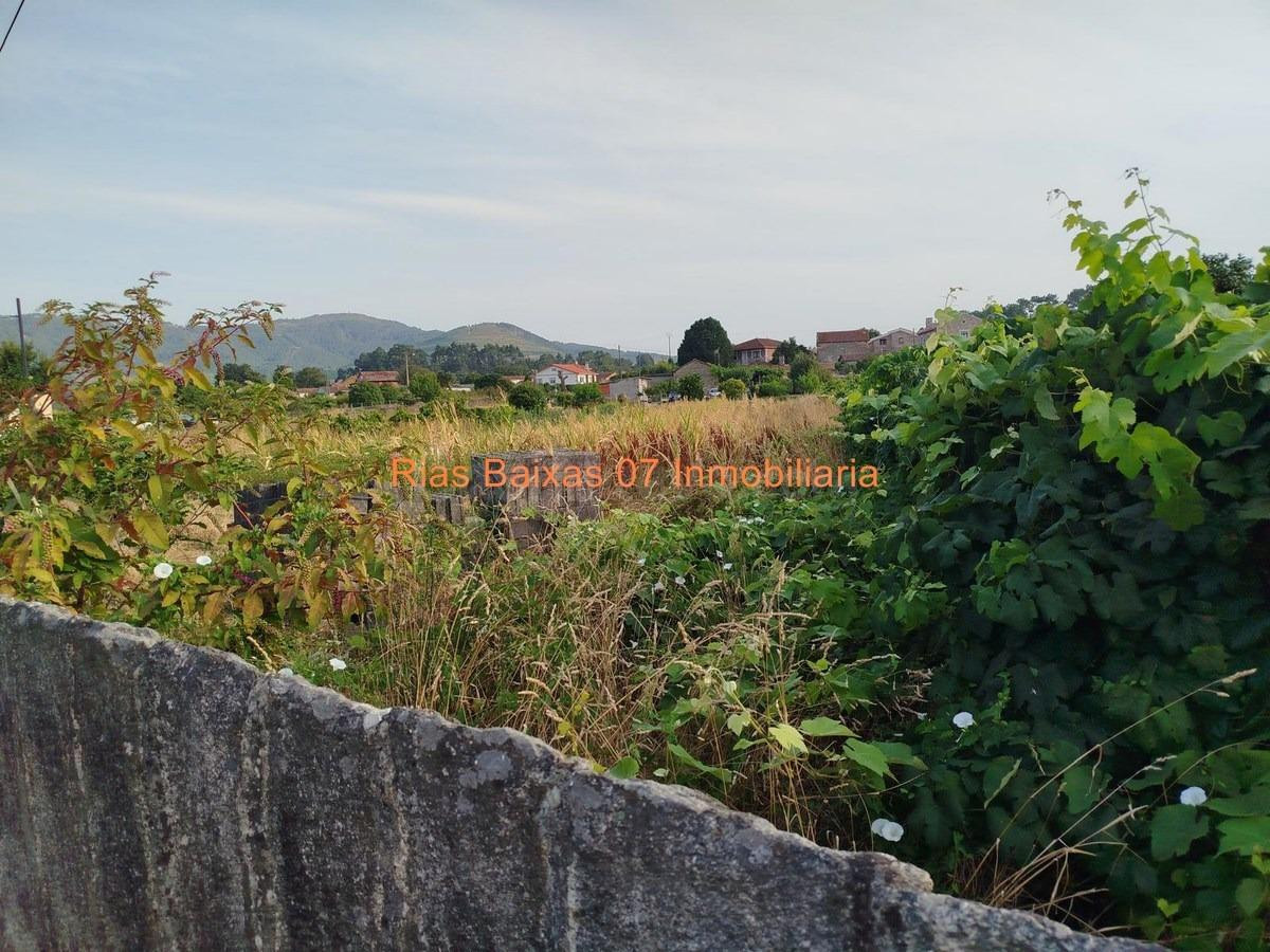 REF 7065  SOLAR LLANO EDIFICABLE DE 1.334 m2 EN ESTAS (TOMIÑ - foto 5