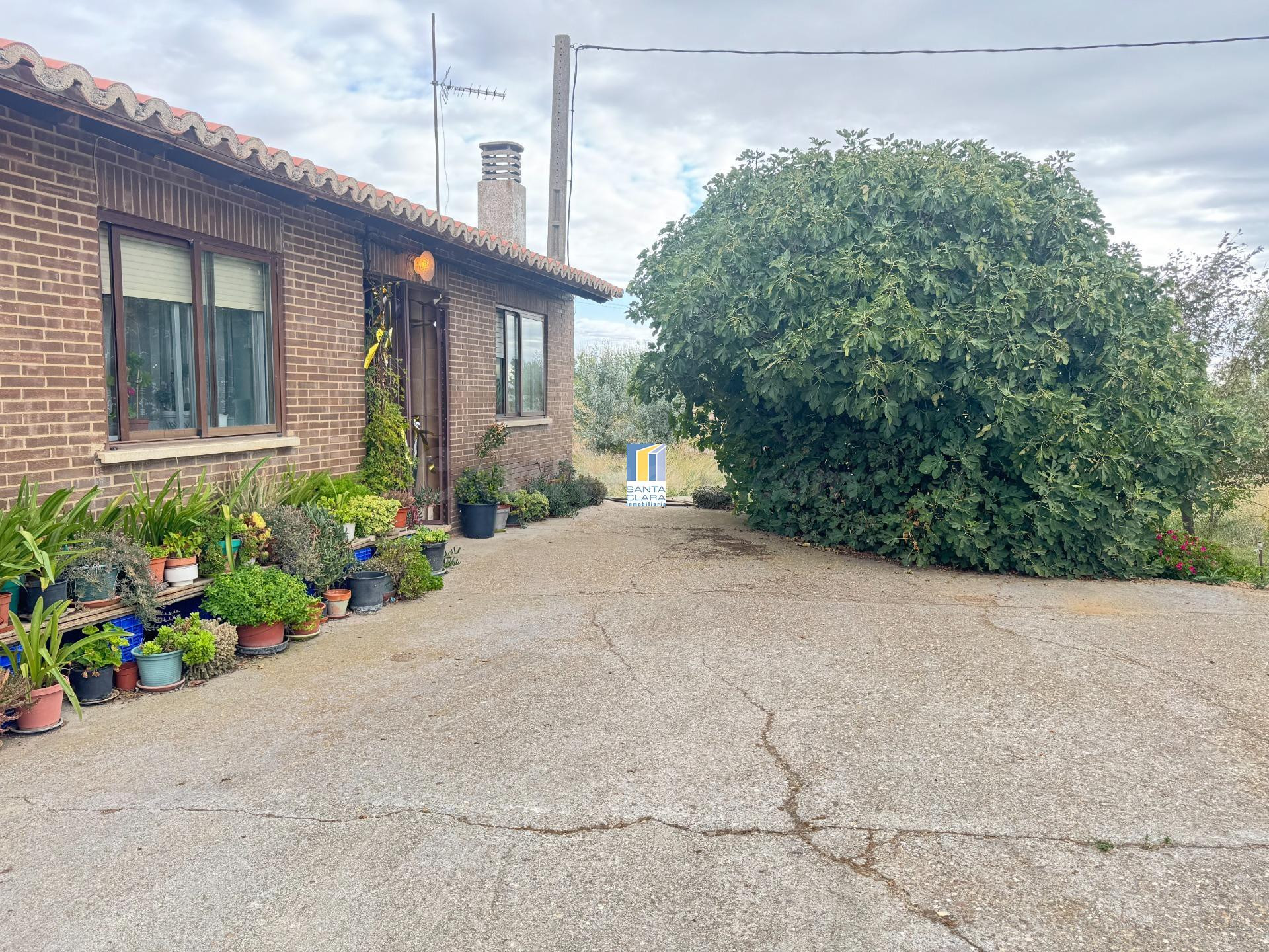 FINCA DE REGADÍO EN VENTA CON CASA EN ZONA CARRETERA DE CORE - foto 2