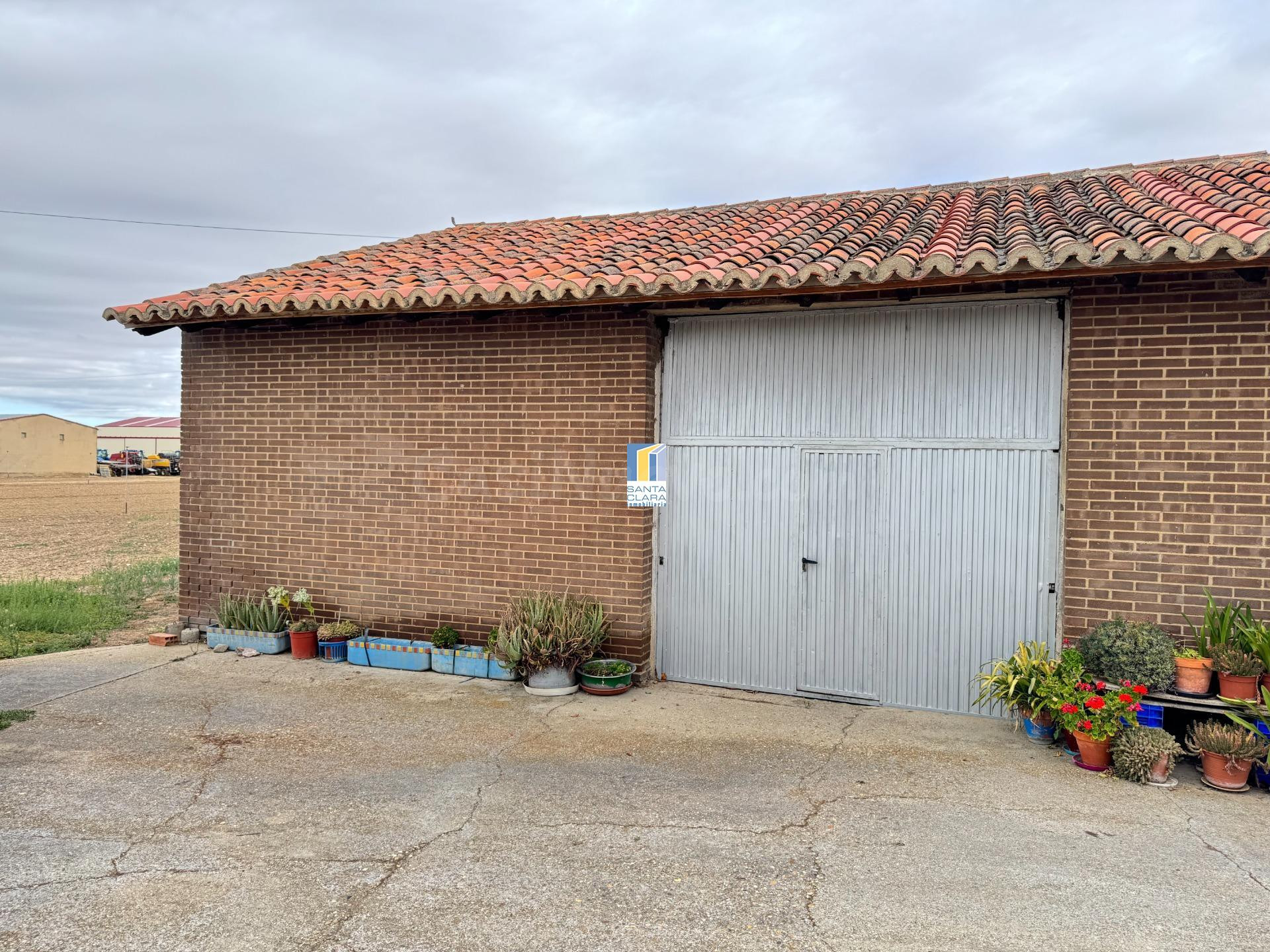 FINCA DE REGADÍO EN VENTA CON CASA EN ZONA CARRETERA DE CORE - foto 3