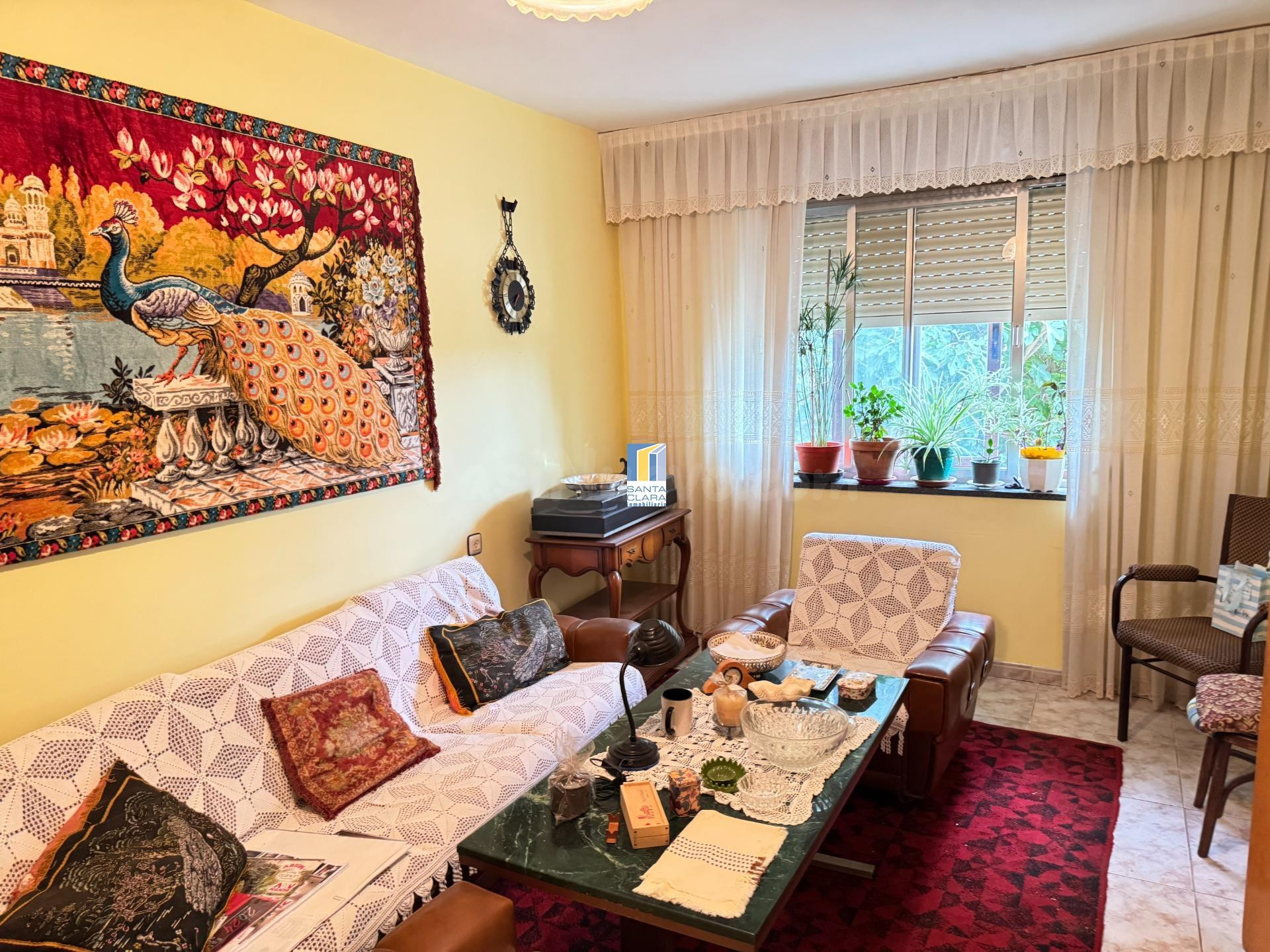 FINCA DE REGADÍO EN VENTA CON CASA EN ZONA CARRETERA DE CORE - foto 4